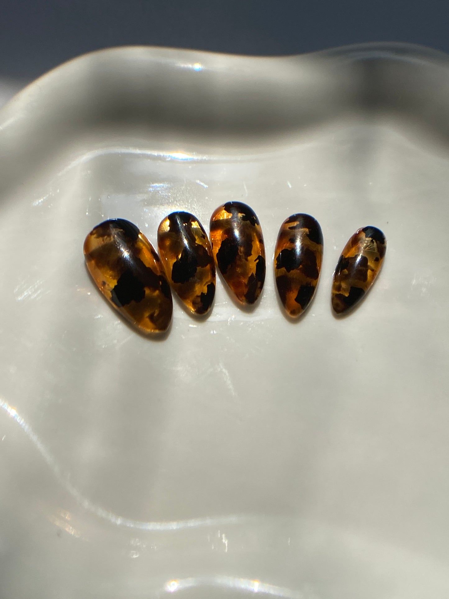 Glass Tortoise Shell