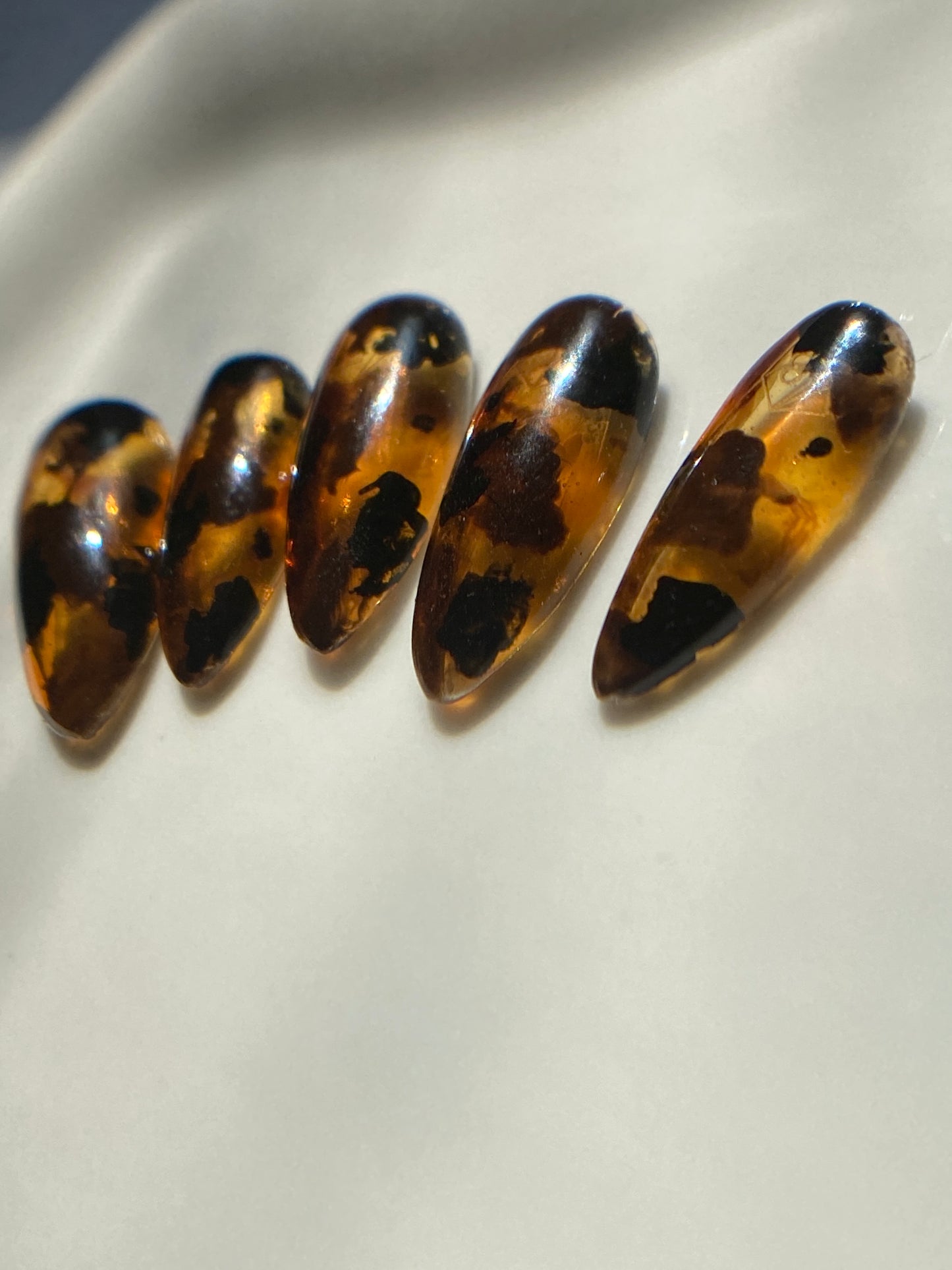 Glass Tortoise Shell