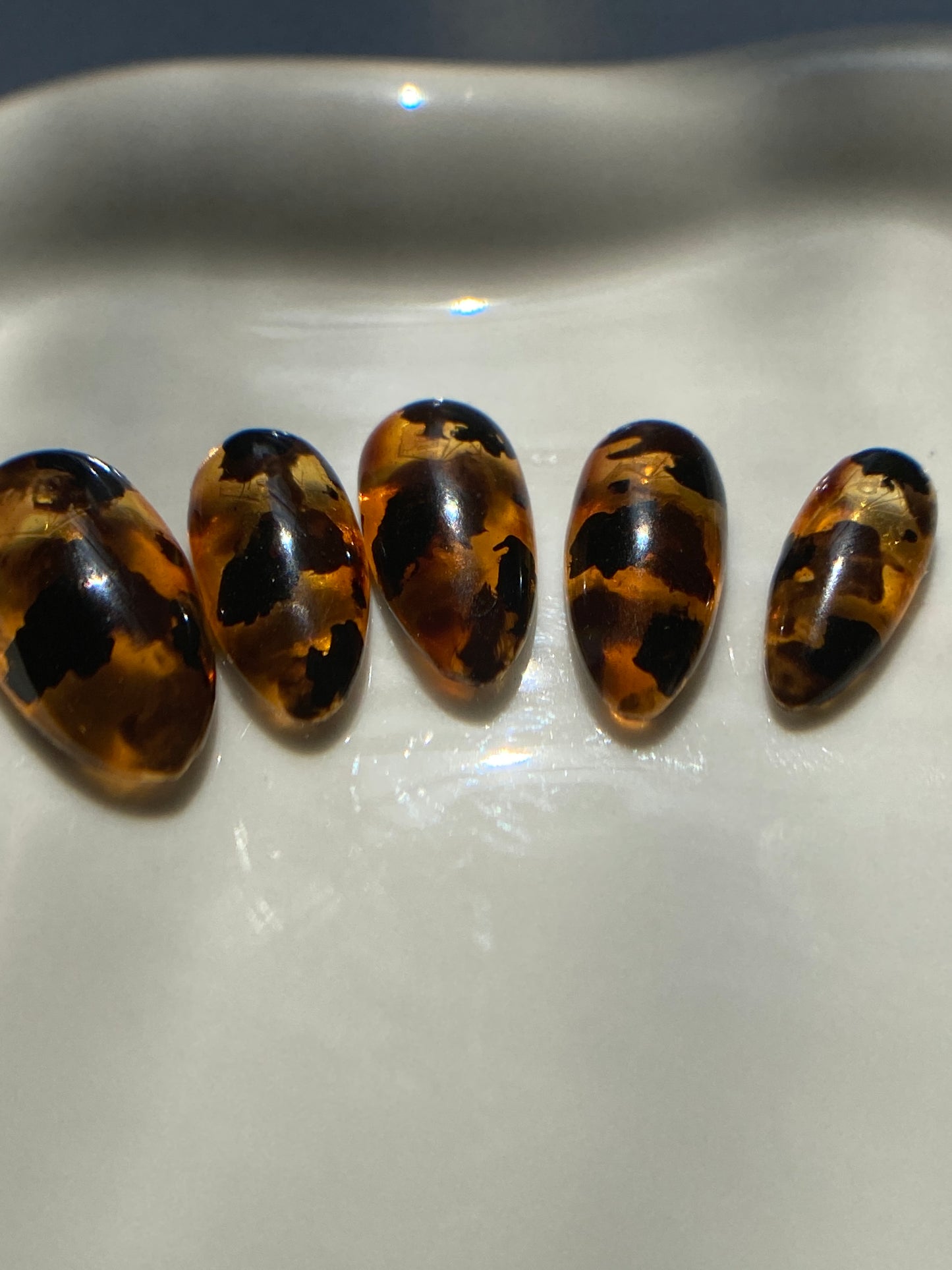 Glass Tortoise Shell